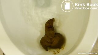 shits in wc
