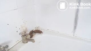 shitting_girls_231721