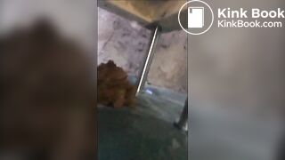 Recovered_mp4_file(4611)