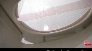 Toilet Bowlcam 950