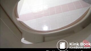 Toilet Bowlcam 950