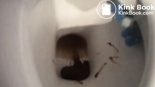 Recovered_mp4_file(7101)