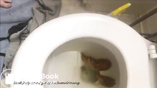 autumn poop close ups