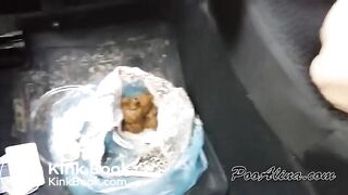 Recovered_mp4_file(4875)