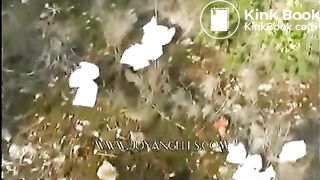 Double scat in forest