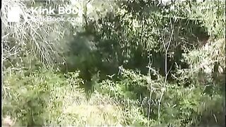 Double scat in forest
