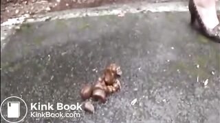 Mature lady pissing and doing a big turd on the road