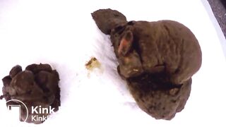 Eat My Poo Piles, Toilet!