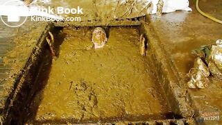 Betty submerges in cowshit