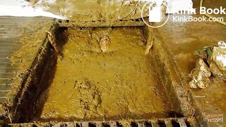 Betty submerges in cowshit