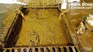 Betty submerges in cowshit