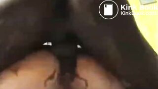 Dirty Ass to Mouth