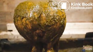 Cleaning ends in a mess - cowshit