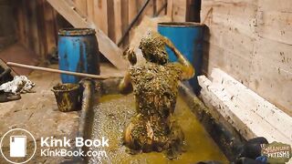 Cleaning ends in a mess - cowshit