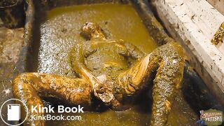 Cleaning ends in a mess - cowshit