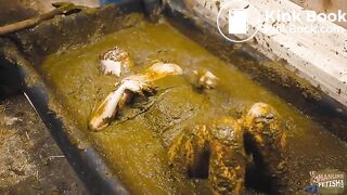 Cleaning ends in a mess - cowshit