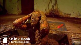 Betty submerging in cowshit compilation