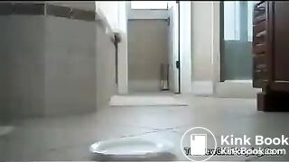 Shitting on a plate