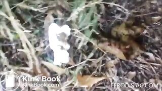 Scat in the woods