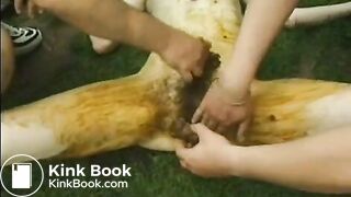 Backyard-Scat-Orgy-02