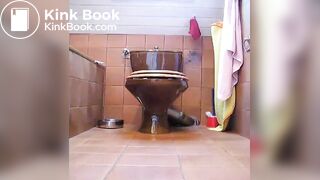 Toilet scat
