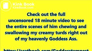 Shit Eating Toilet Bitch 2