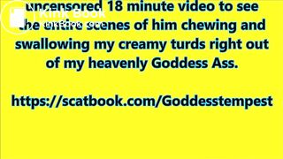 Shit Eating Toilet Bitch 2