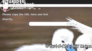 JAPANESE AMATURE GIRL HOMEMADE ANAL ENEMA SCAT 5-1