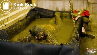 Inspector Betty showered with cowshit