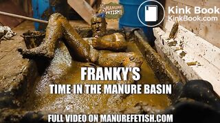 Frankys Time in the manure basin
