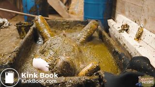 Frankys Time in the manure basin