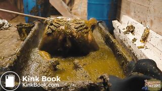 Frankys Time in the manure basin