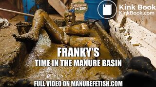 Frankys Time in the manure basin