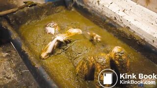 cleaningendsinamess-lyndralynn-lq