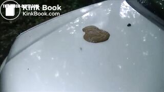 Brunette pissing and shitting on a car outdoor