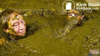 Cow Slurry Date in Latex
