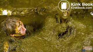Cow Slurry Date in Latex