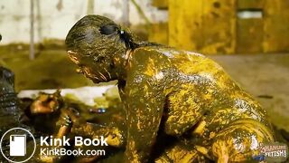 Cow Slurry Date in Latex