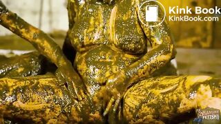 Cow Slurry Date in Latex