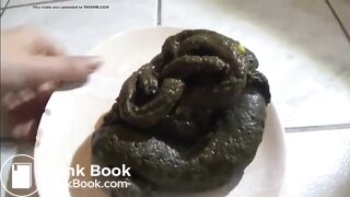 digested spinach
