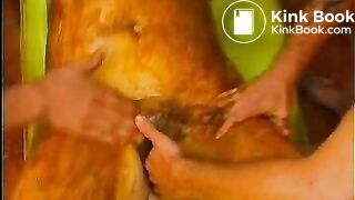 Chubby-Piss-and-Scat-Slut-1