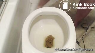 BBW Shitting205