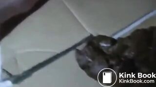 The brown side of life 1253