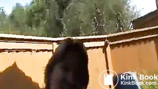 Shit-Eating-Sluts-Cunt-Delux-eats-for-Dad-2-EroProfile