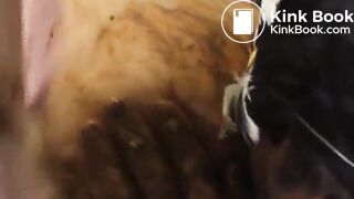 Nice-Couple-play-Scat-in-Dirty-Action