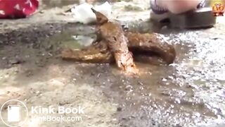 The brown side of life 1187