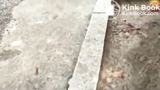 The brown side of life 1187