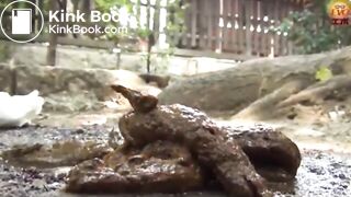 The brown side of life 1187