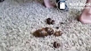 The brown side of life 1266