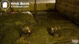 2 Girls 1 Manure Channel